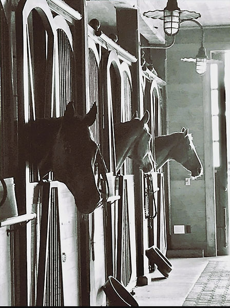 horses in stalls 3_edited.jpg
