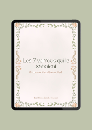 Ebook - 7 verrous.png