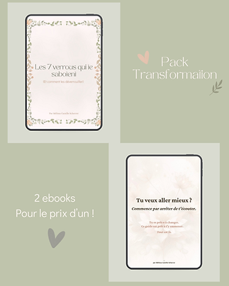 Pack Transformation.png