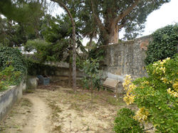 DSCN0205