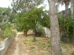 DSCN0203