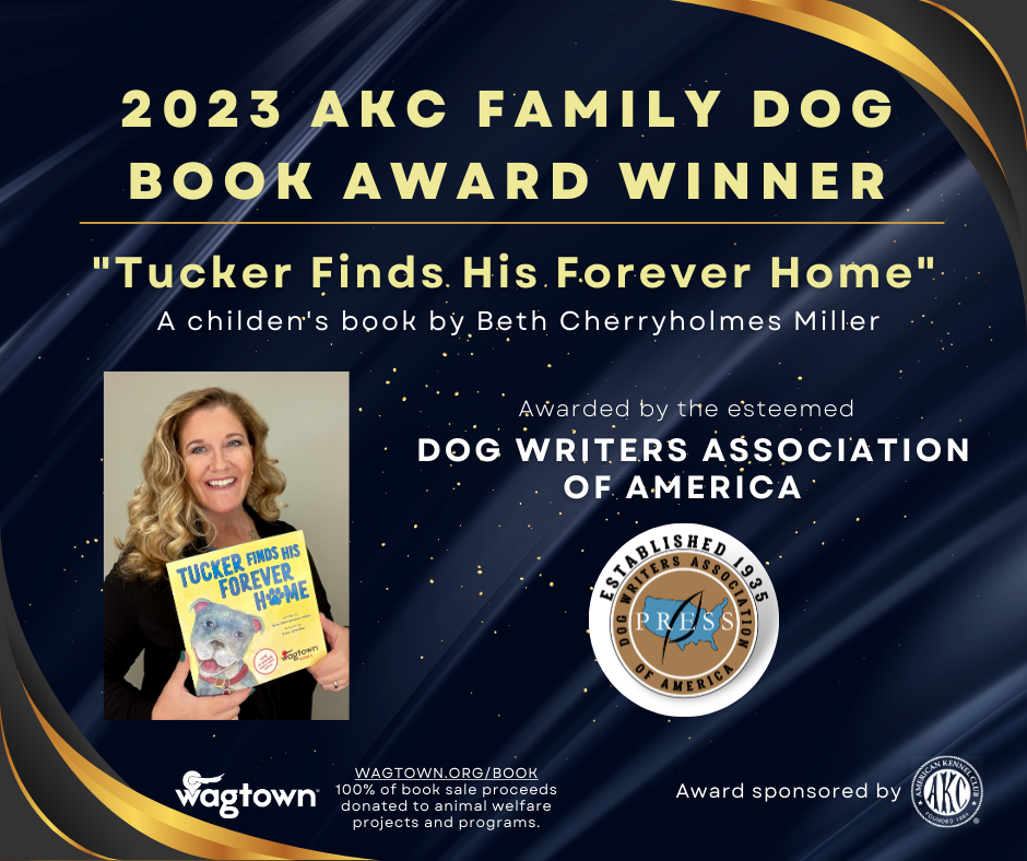 Thumbnail: Tucker Finds His Forever Home
