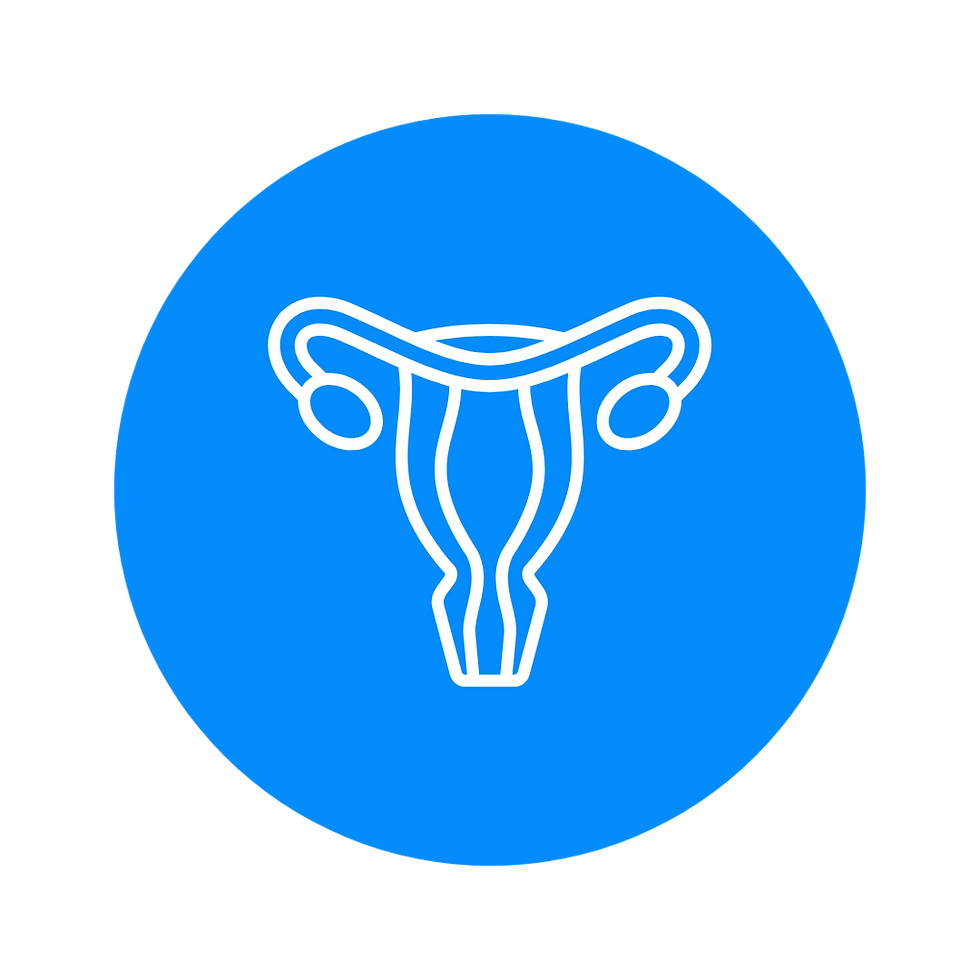 Uterus Icon