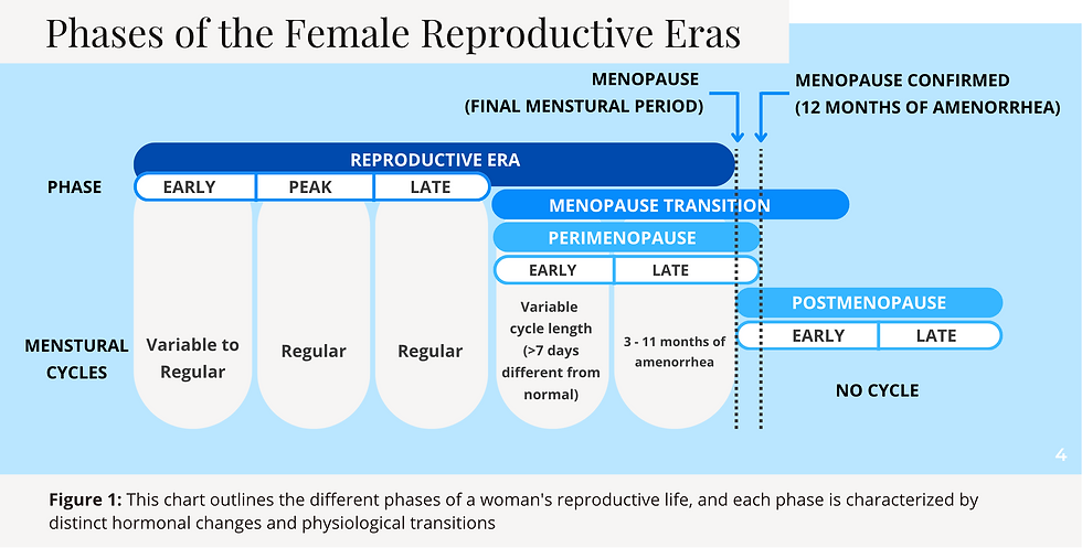 Phases of Menopause