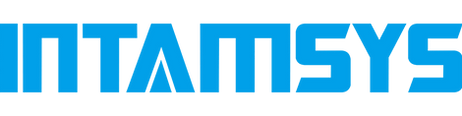 Intamsys Logo