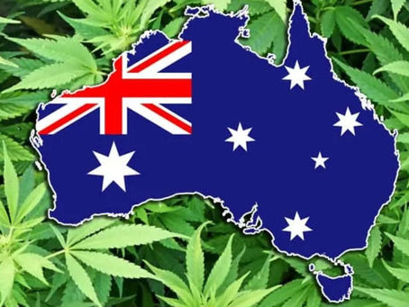 Los precios del tabaco están transformando los hábitos de consumo en Australia, llevando a muchos a optar por cannabis