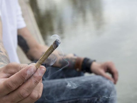 El mercado cannábico recibe a En Volá innovación Hispanoamericana en el dispensario más grande de California