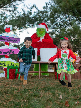 The Grinch: Green, Grumpy, and Guaranteed to Steal Your Heart