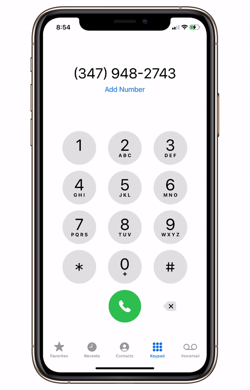 bellcasecomp-ezgif.com-video-to-gif-converter.gif