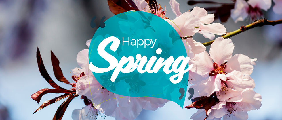 Hello Spring!