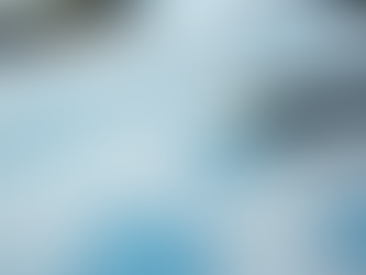 Understanding Financial Reports: A Guide for Business Owners