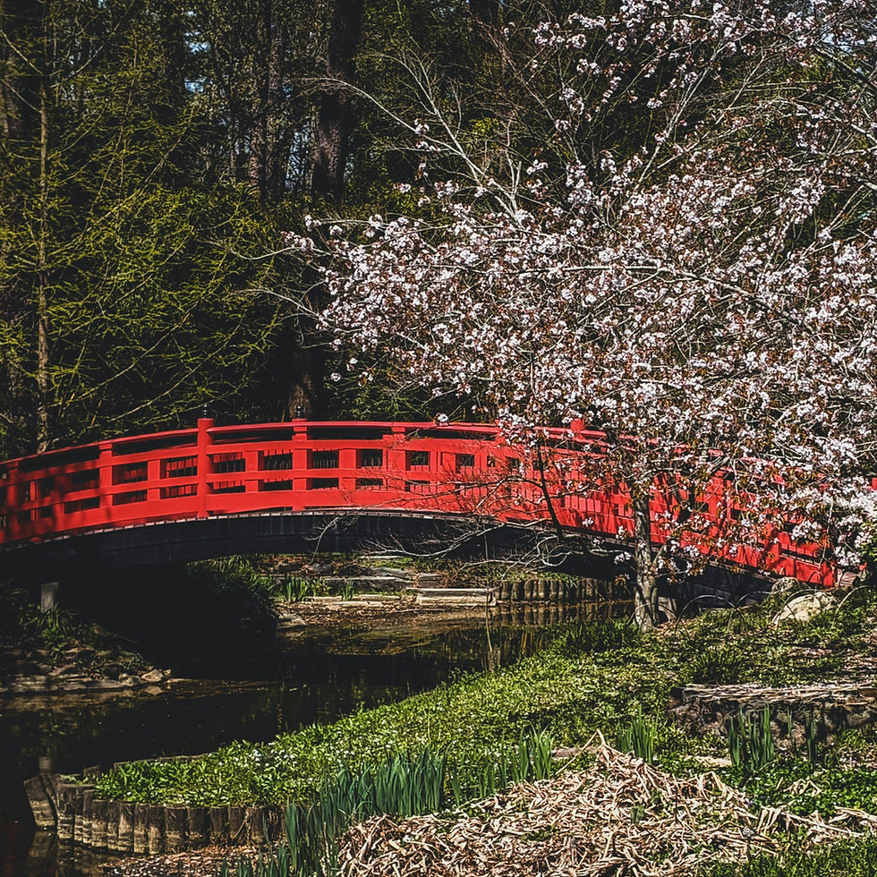 Thumbnail: Trip 919 - Durham (Bikeable)