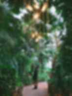 botanical gardens