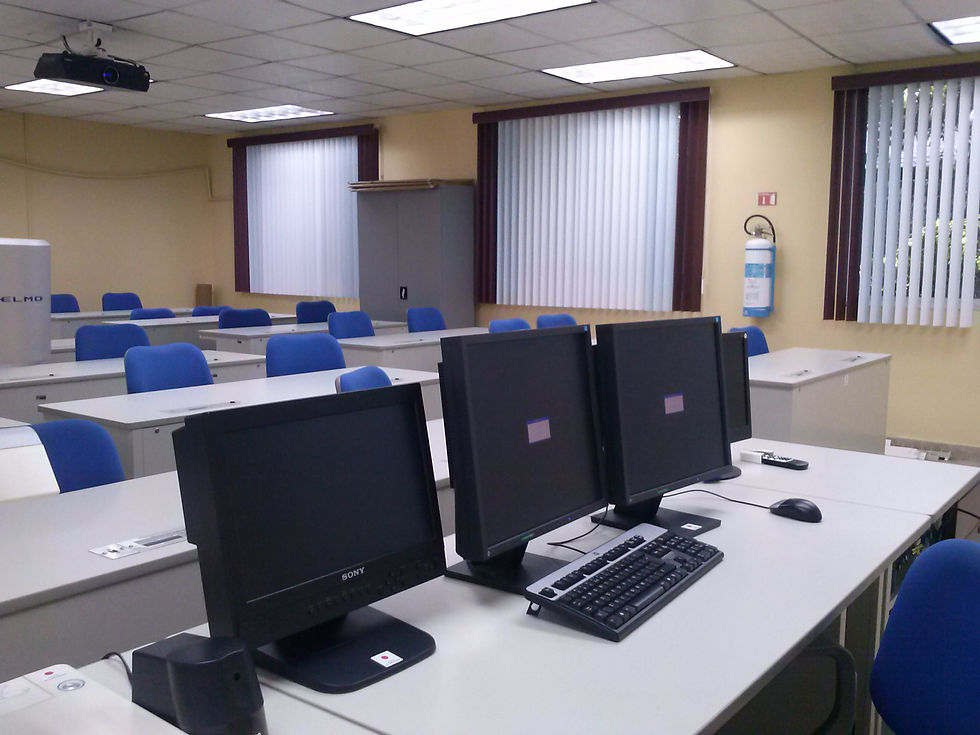 Labs (6).jpg
