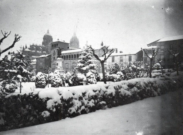 Colón