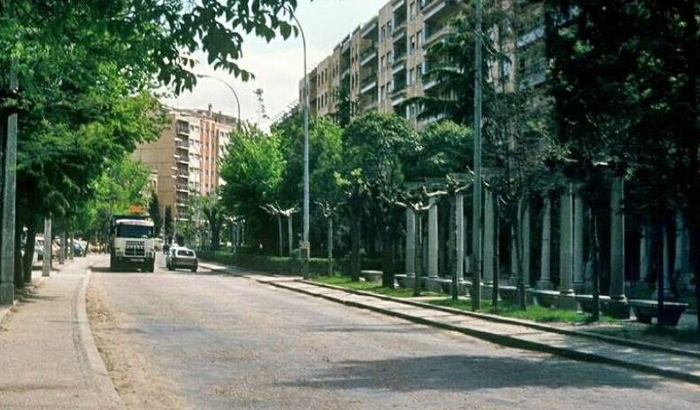 Carmelitas