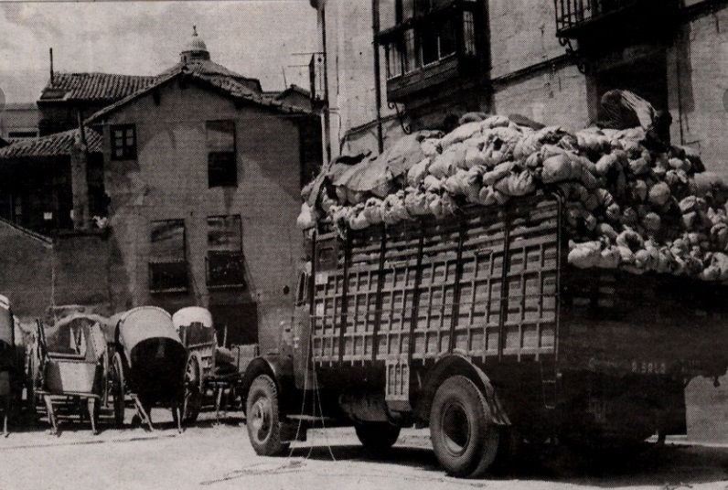 Caleros