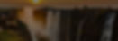 Header-2.jpg