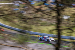 Mercedes through the brush.