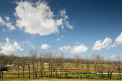 Racing under blue sky.