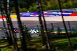 Porsche on track through the trees.