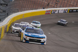 SVG standing on the grid.