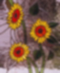 4-emplomado-girasoles