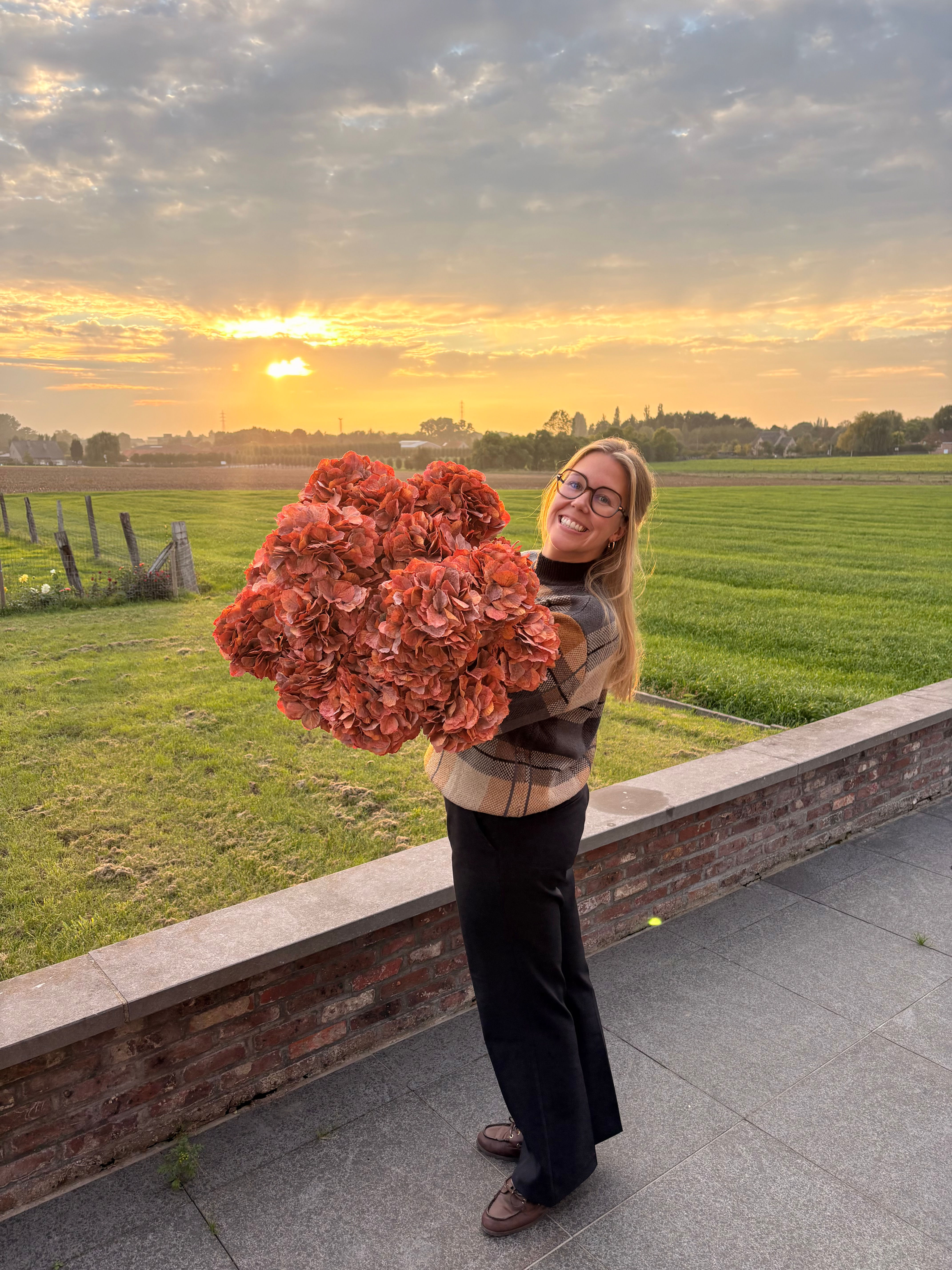 Herfstoranje hortensia