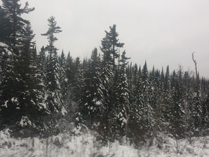 When Winter Vacation Breaks Into Reality