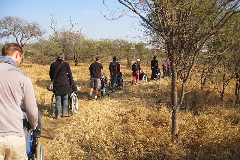 PAseo en Kruger National Park Safari