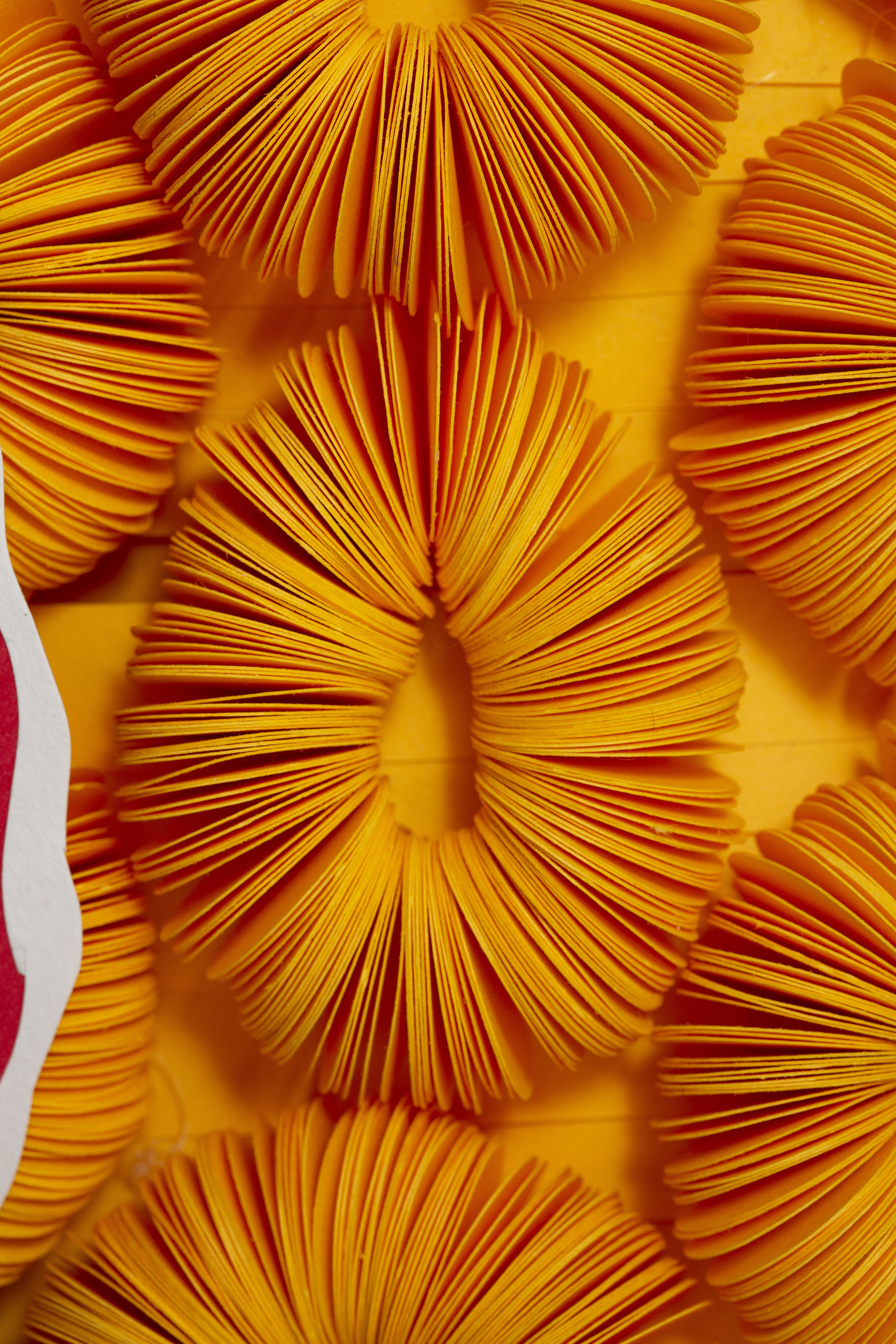 Paper Coral Art