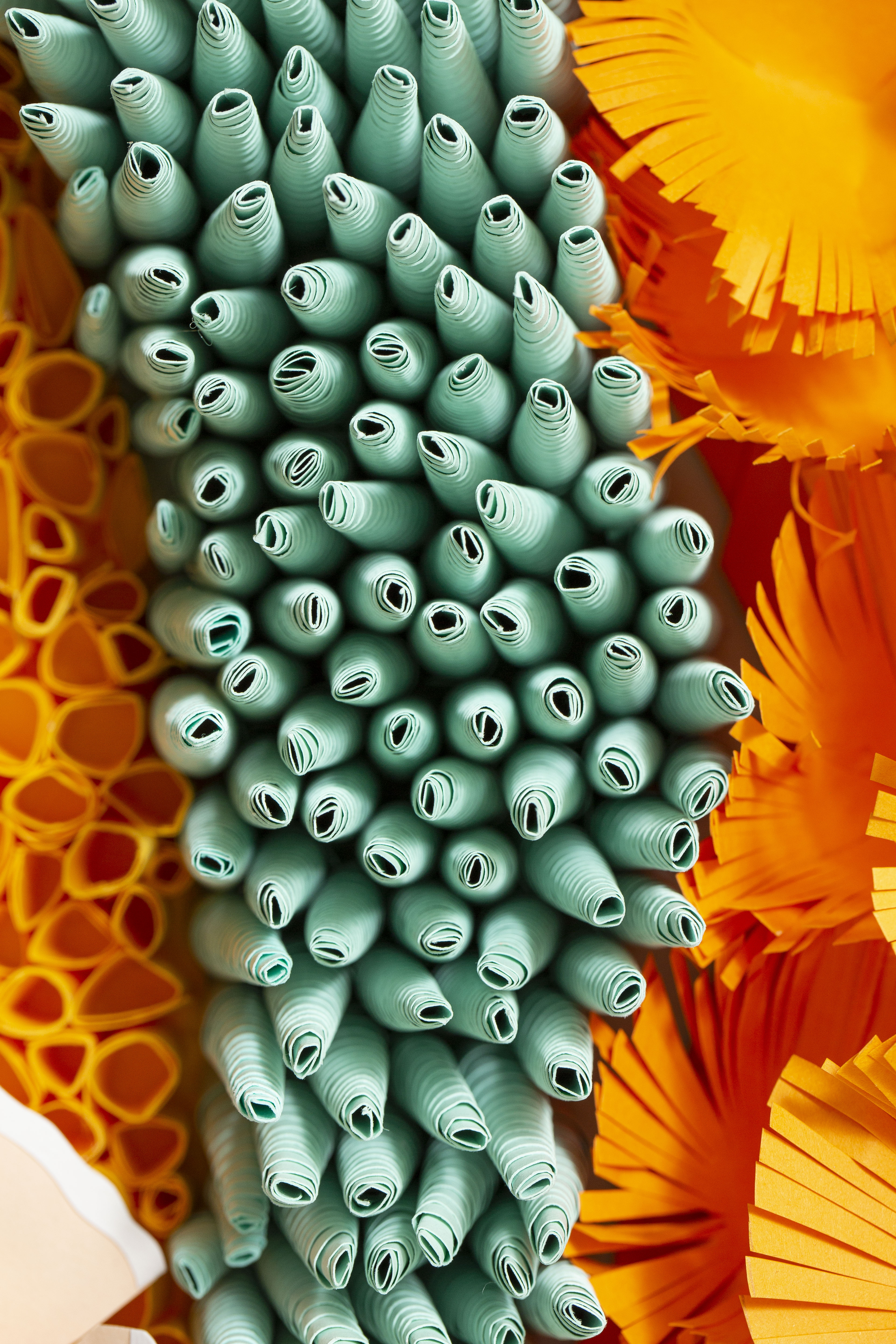 Paper Coral Art
