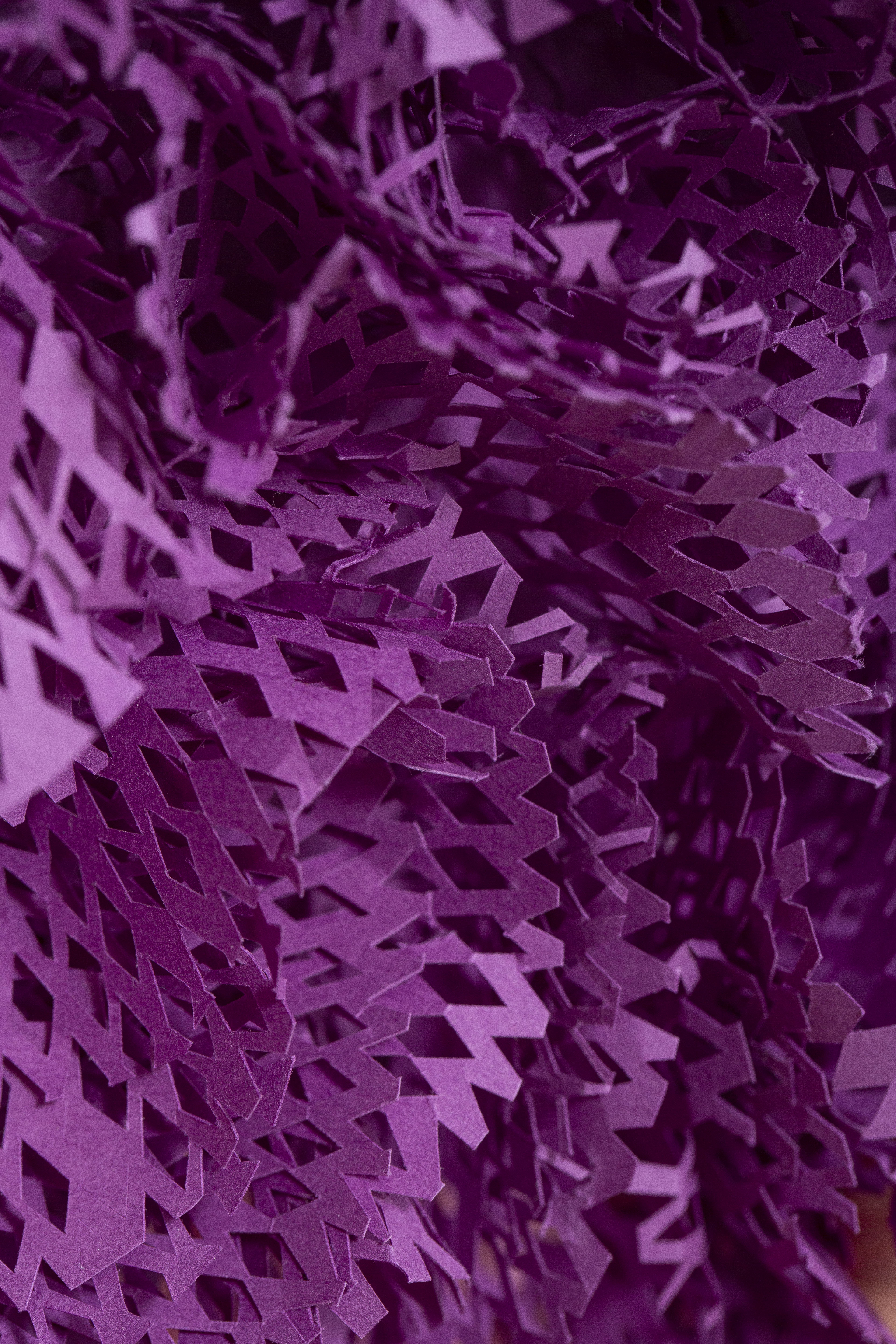 Paper Coral Art