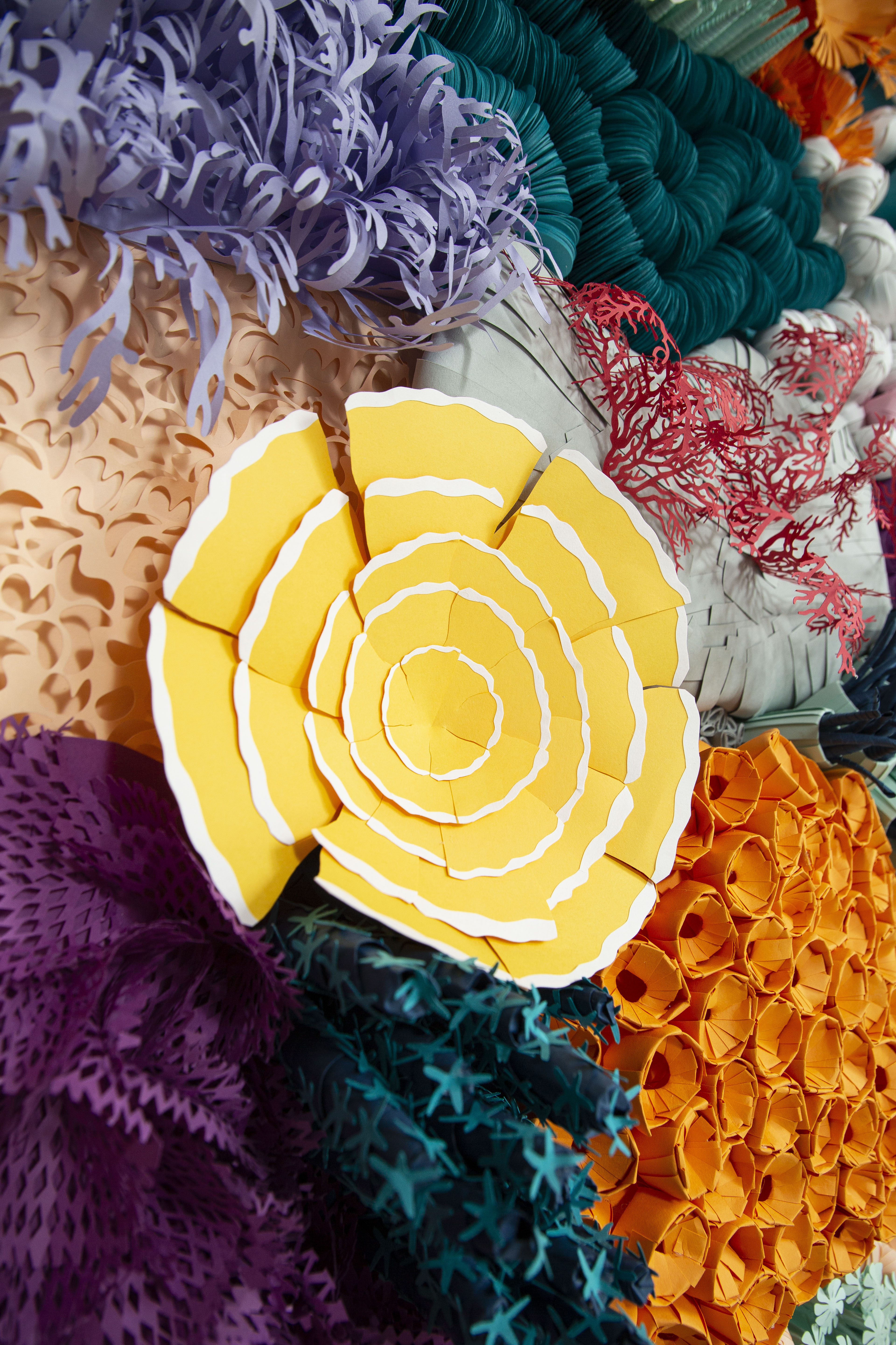 Paper Coral Art