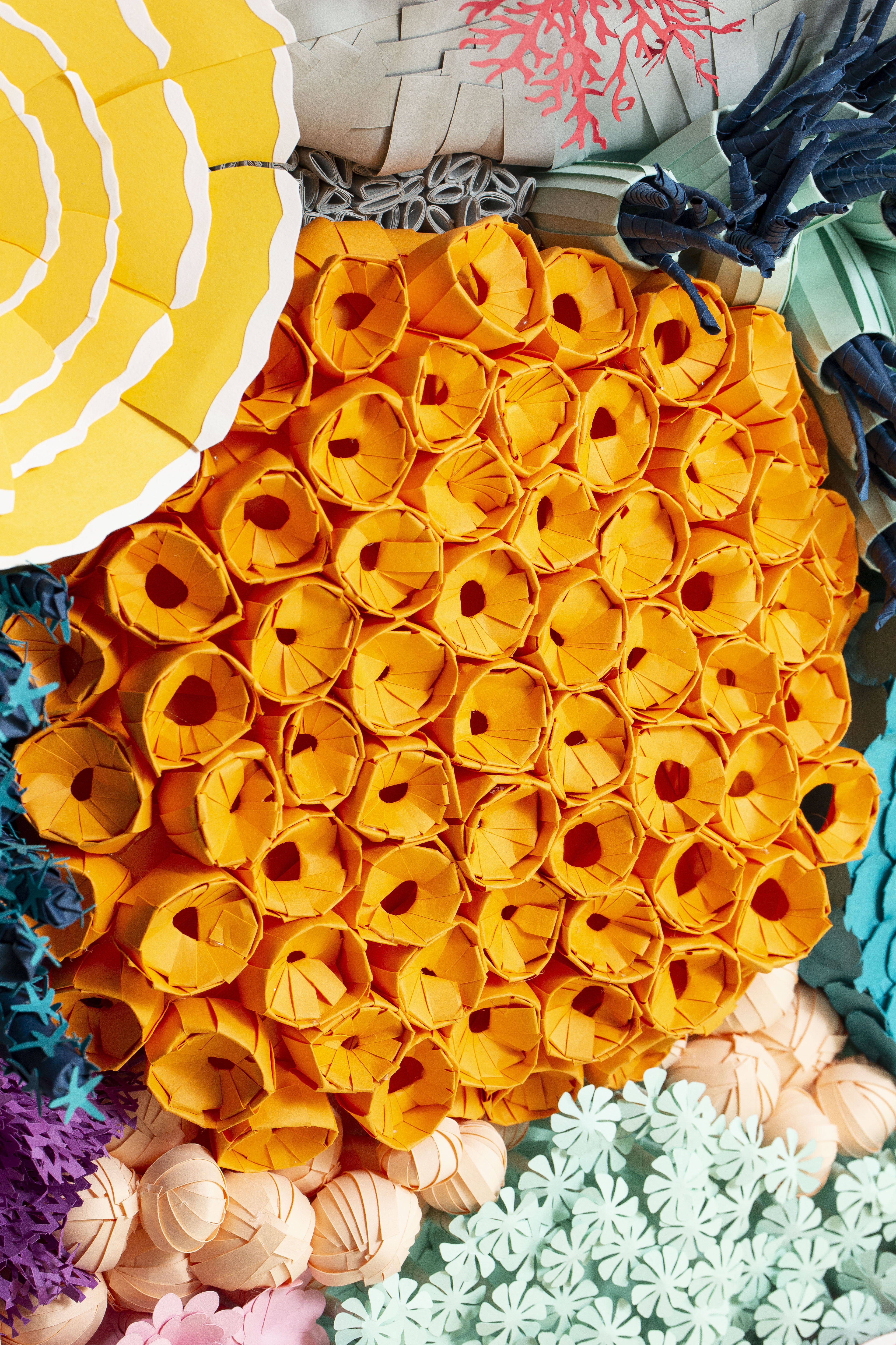 Paper Coral Art