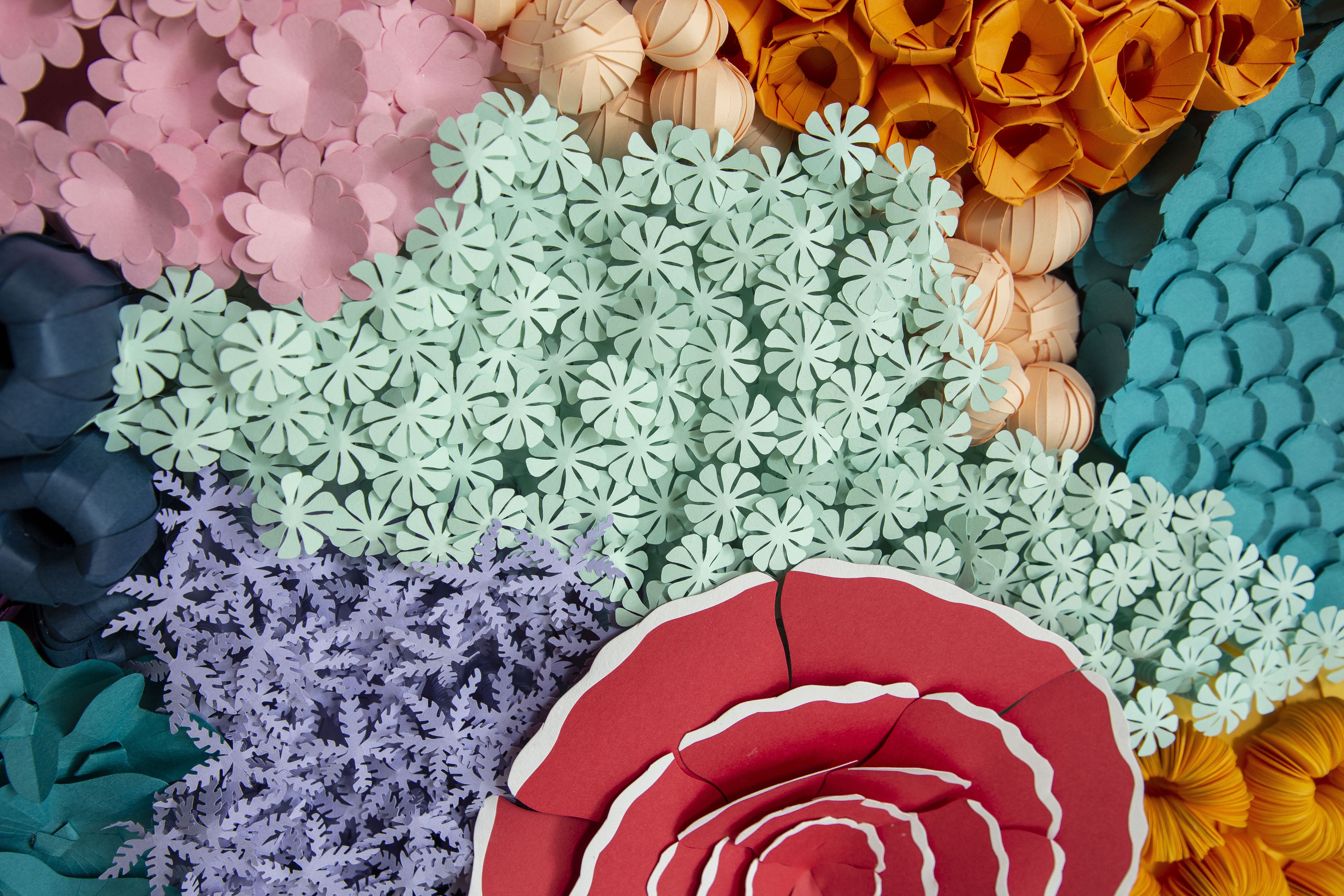 Paper Coral Art