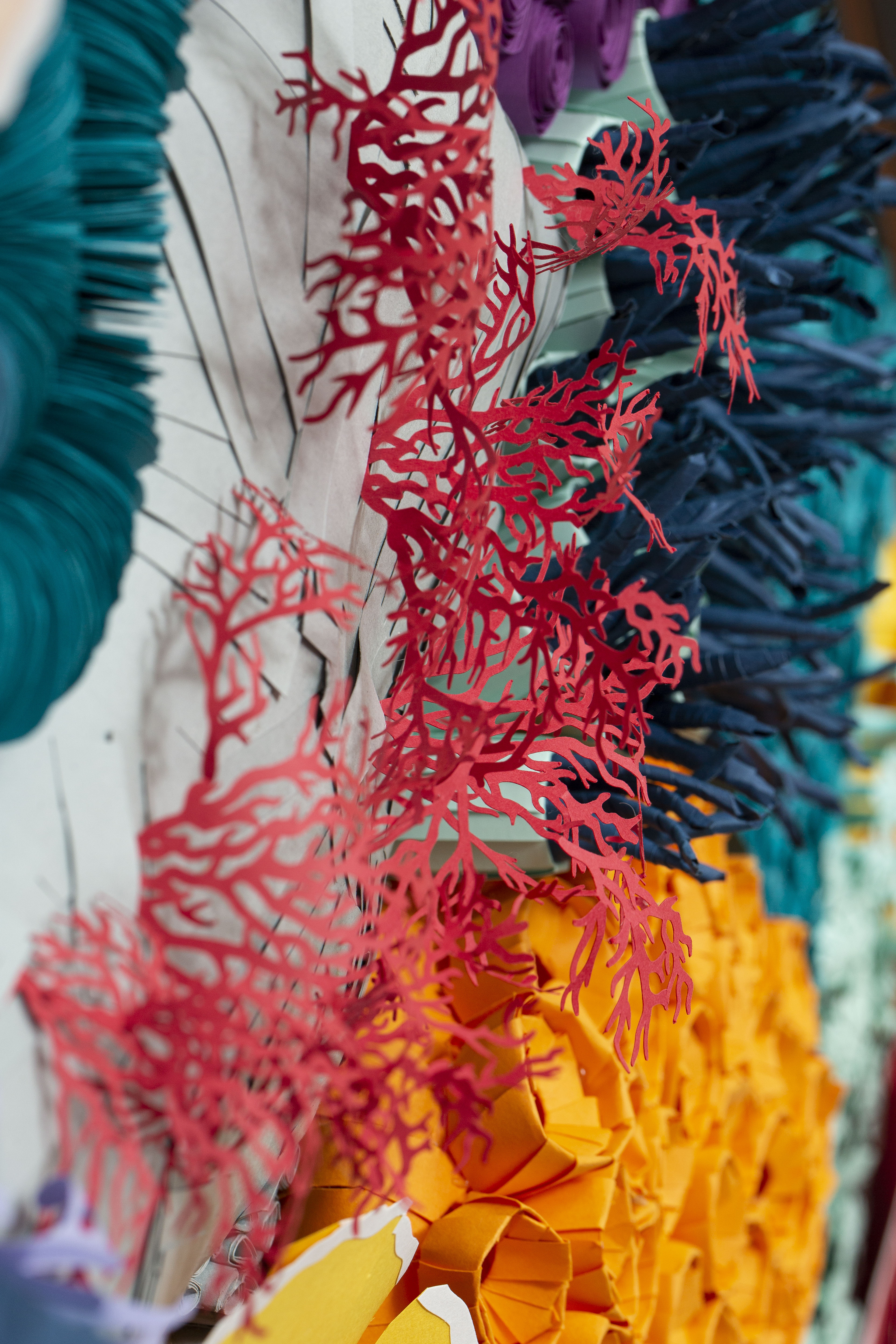 Paper Coral Art