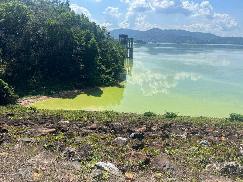 Barrick Gold presa del hatillo