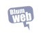 BLUMWEB CHAT logo_edited.png