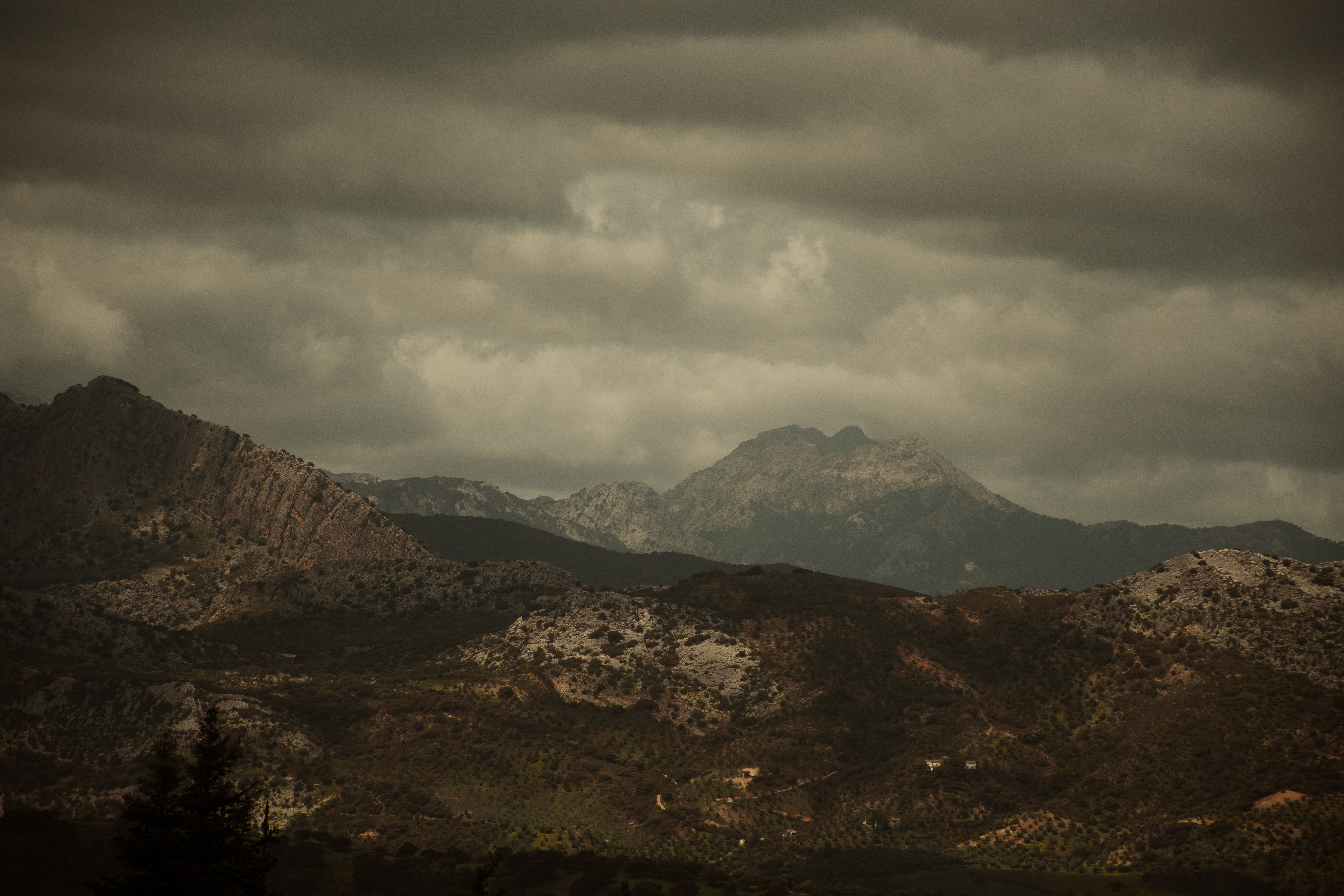 Sierra de las Nieves — I