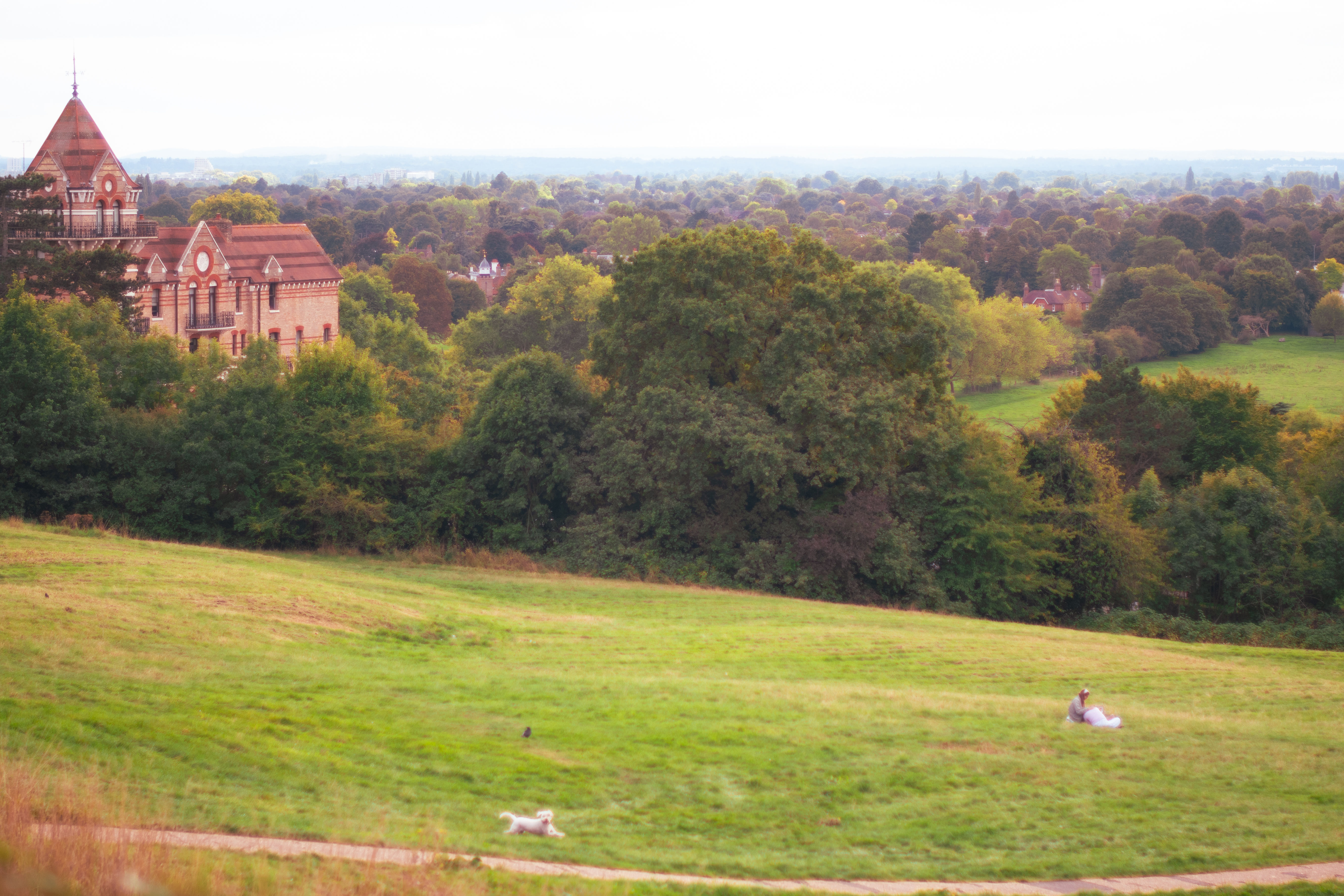 Richmond Hill – Vista — II