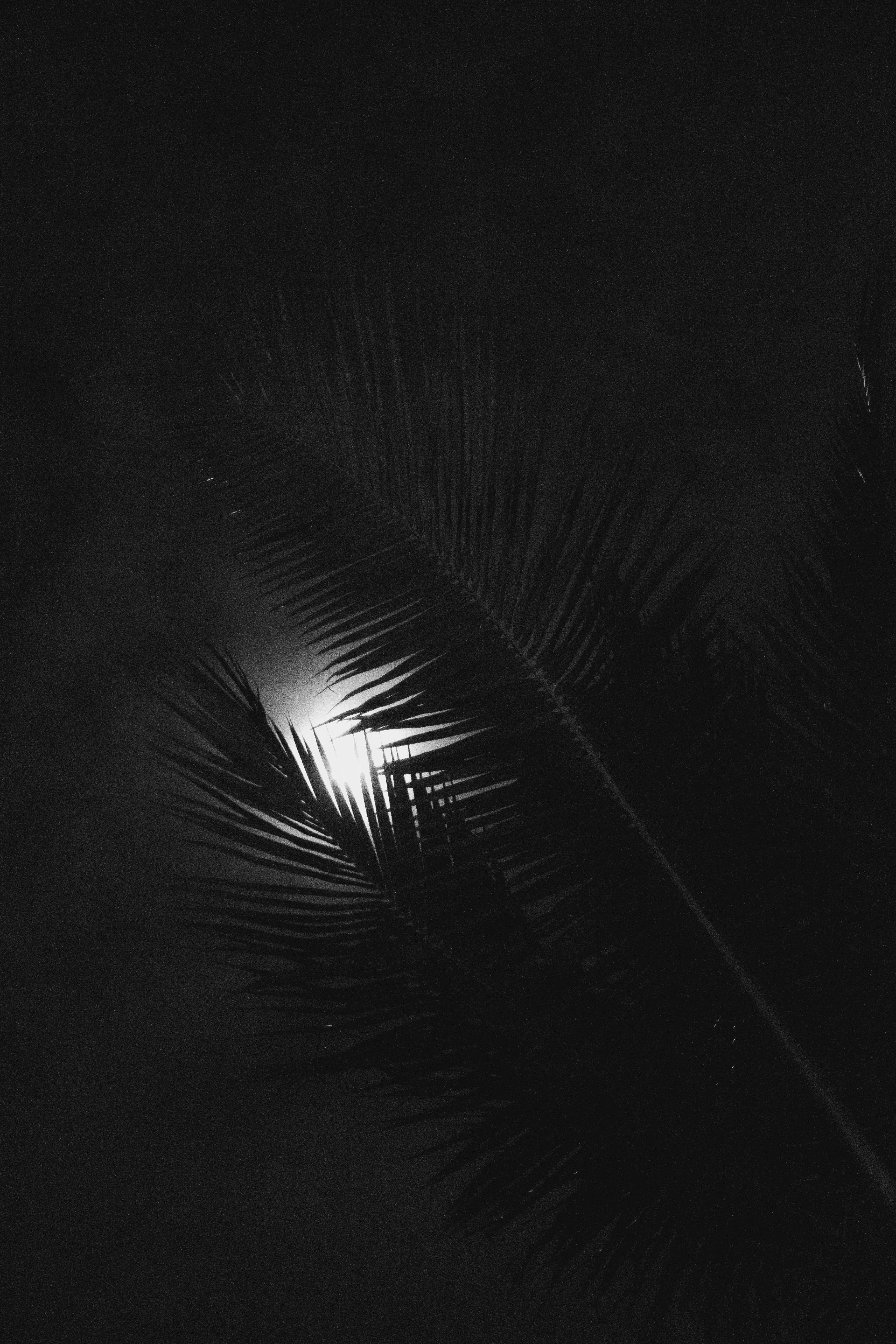 Noite na Praia