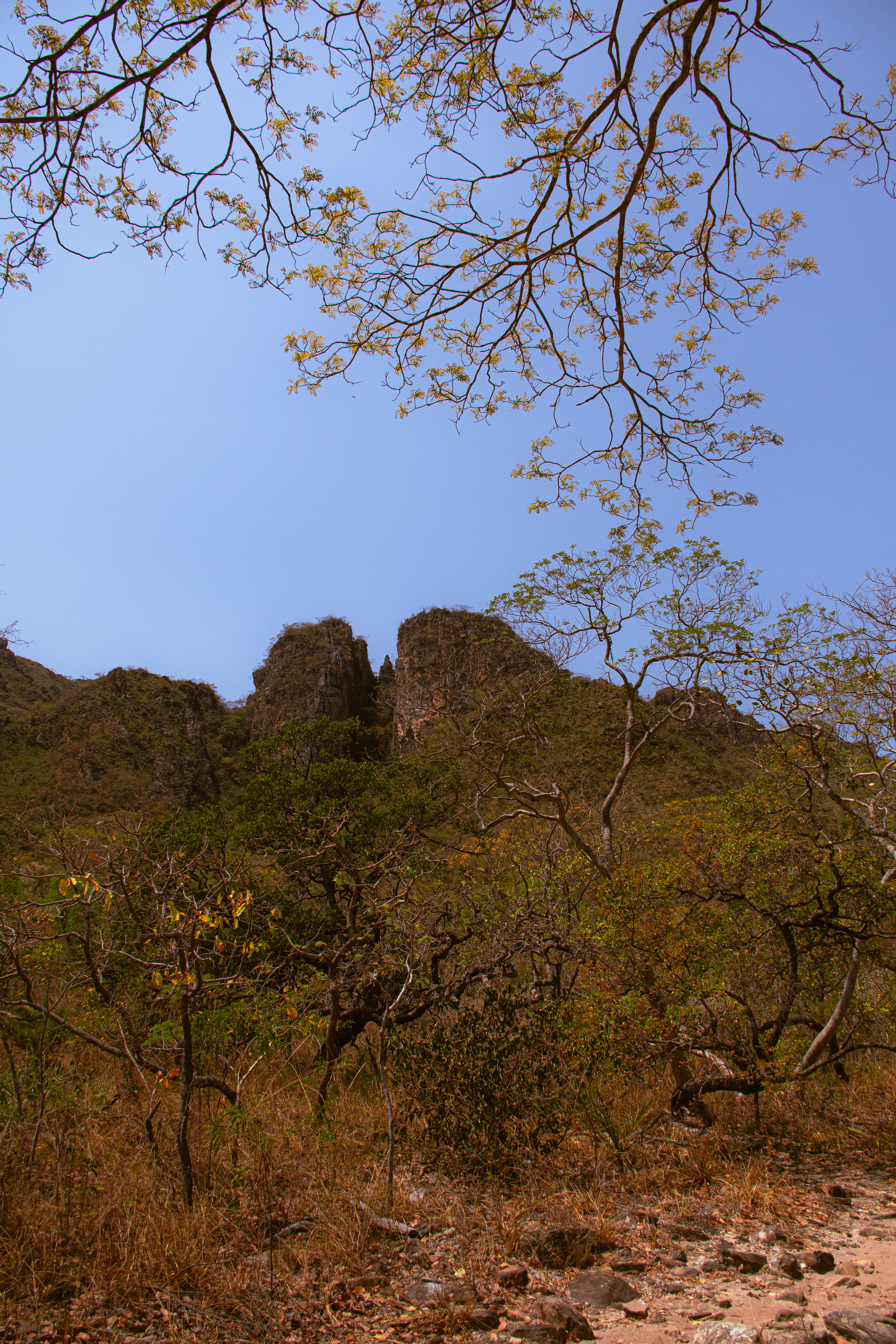 Trilha – Serra do Cipó