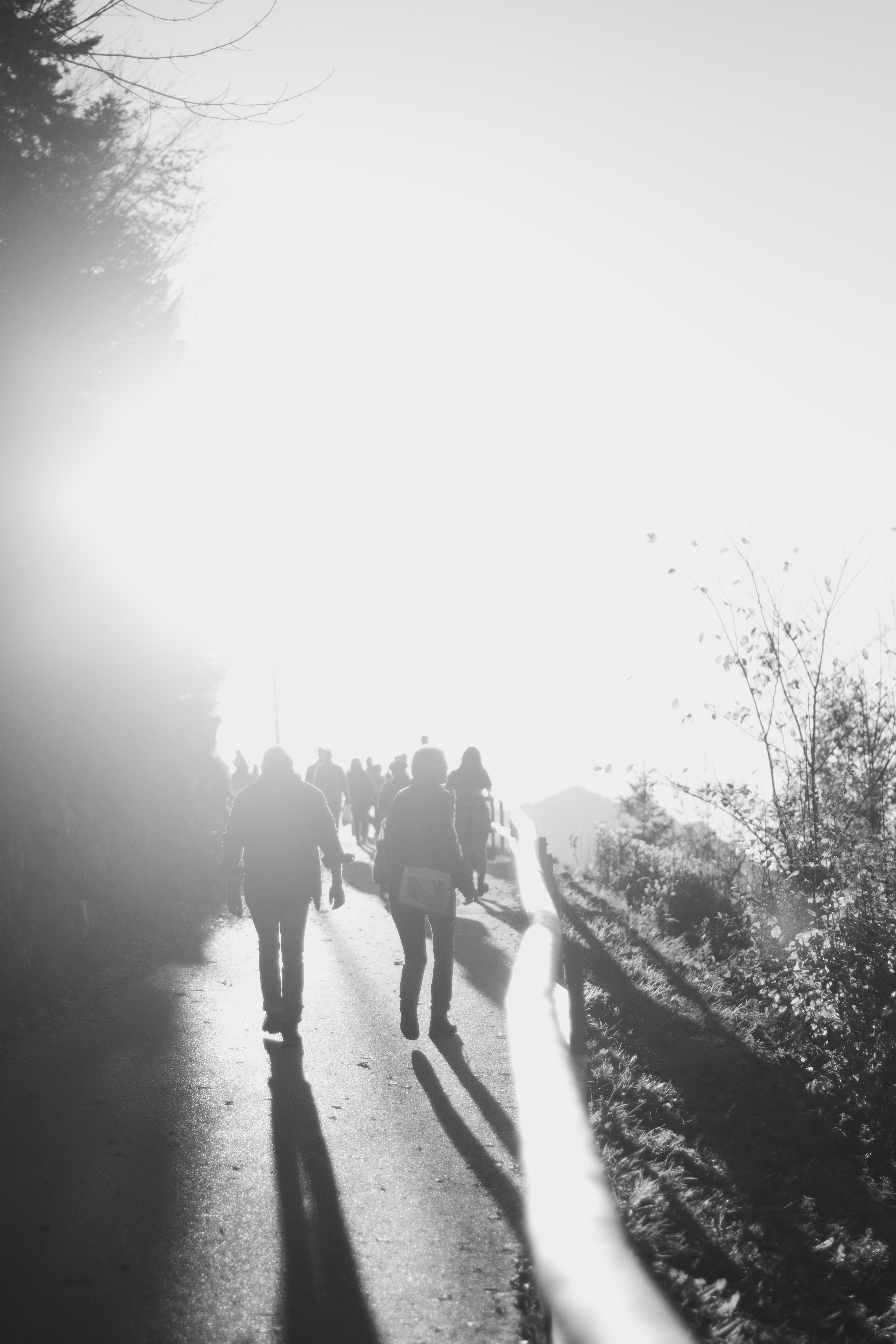 Vultos – Trilha para o Sol
