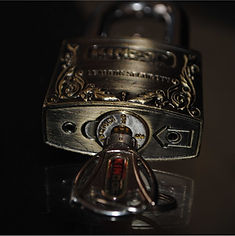 Product Photography