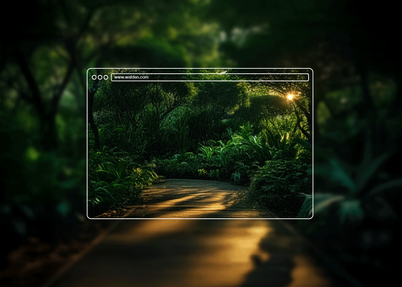 Walden Website Design: A Digital Gateway to Tranquility and Connection