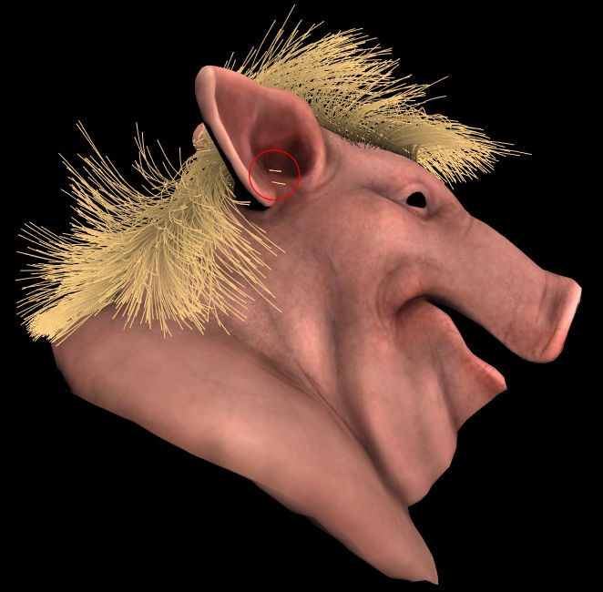 80 guides with 16 points per curve for the sim in the render, and it took around 10 minutes for 240 frames