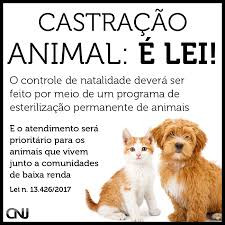 Castração Animal é LEI!