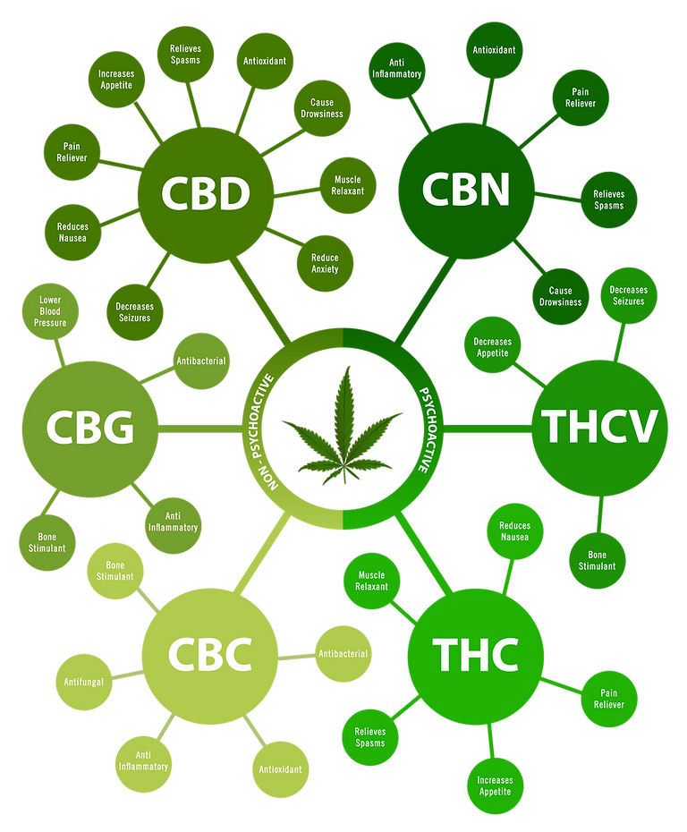 Cannabinoid-guide.png