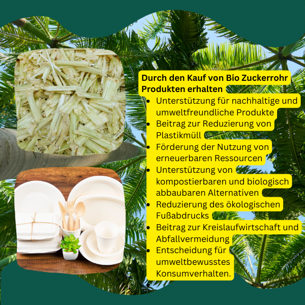 Miniaturbild: Bagasse Stable Einweg-Wärmeboxen für Menüs, 2 unterteilte Faltboxen für Snacks